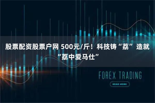 股票配资股票户网 500元/斤！科技铸“荔” 造就“荔中爱马仕”
