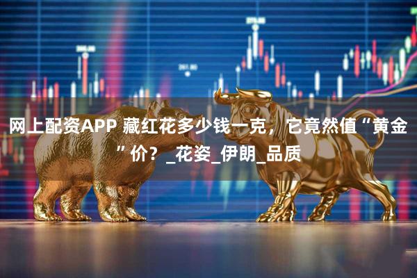 网上配资APP 藏红花多少钱一克，它竟然值“黄金”价？_花姿_伊朗_品质