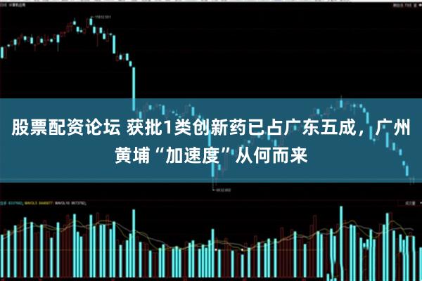 股票配资论坛 获批1类创新药已占广东五成，广州黄埔“加速度”从何而来