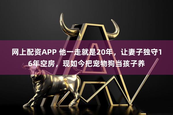 网上配资APP 他一走就是20年，让妻子独守16年空房，现如今把宠物狗当孩子养