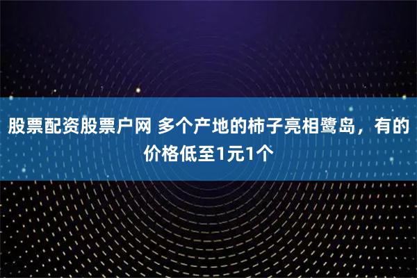 股票配资股票户网 多个产地的柿子亮相鹭岛，有的价格低至1元1个