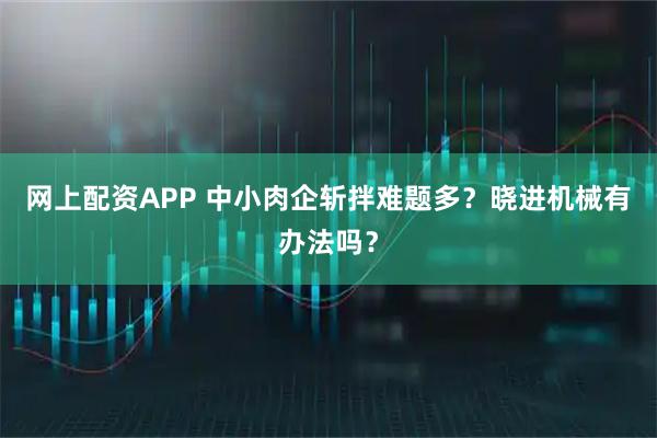网上配资APP 中小肉企斩拌难题多？晓进机械有办法吗？